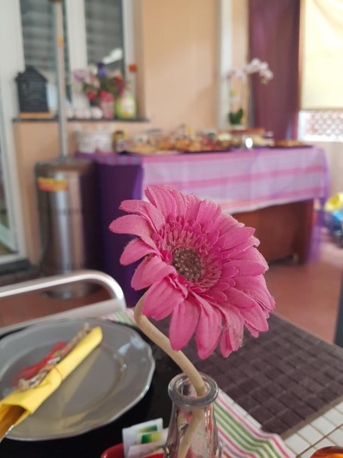 Ghiro Ghiotto Bed & Breakfast Пиетра Лигуре Екстериор снимка
